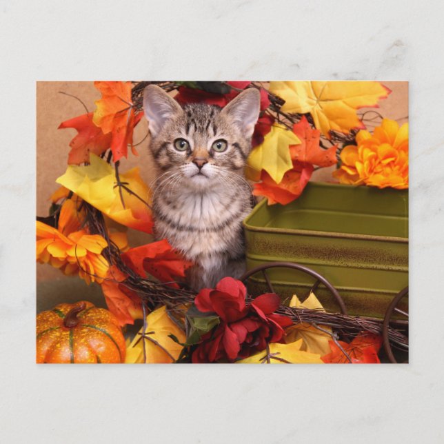 Cartão Postal Colheita de outono (Frente)