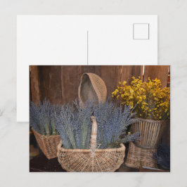 Cartão Postal Colheita Rústica de Lavanda