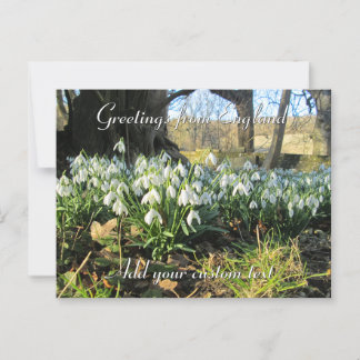 Cartão Postal Colírio sob uma Árvore Nova - Personalizado