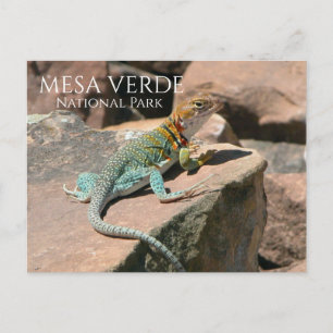 Cartão Postal Collared Lizard, Parque Nacional Mesa Verde