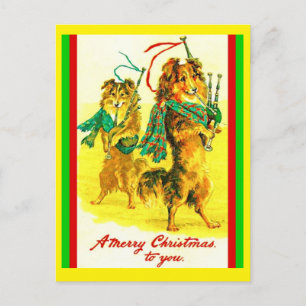 Cartão Postal Colleys Escoceses Vintage, Gaita de Foles Feliz Na