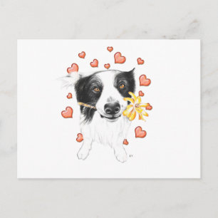 Cartão Postal Collie E Corações De Borda
