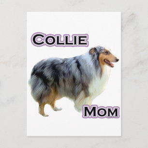 Cartão Postal Collie Mãe 4