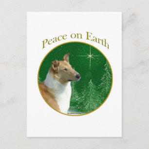 Cartão Postal Collie Peace na Terra