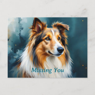 Cartão Postal Collie Portrait Sente Sua Falta