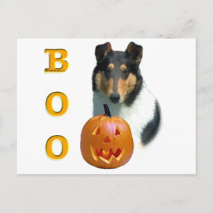 Cartão Postal Collie (suave) Boo