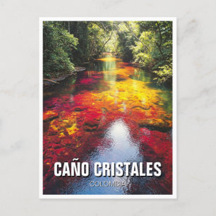 Cartão Postal Colombia Cano Cristales Viagem