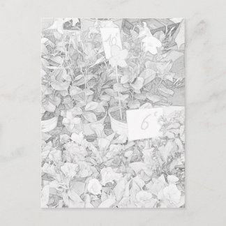 Cartão Postal Coloração do mercado da flor