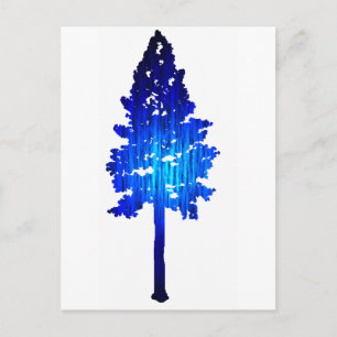 Cartão Postal Colorado Blue Spruce