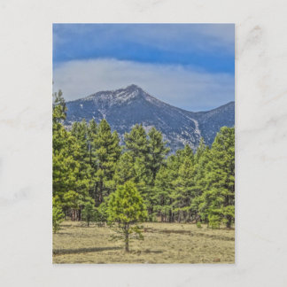 Cartão Postal Colorado Rockies