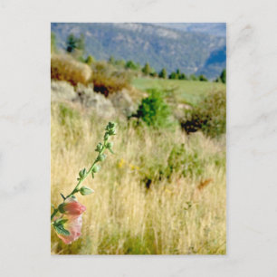 Cartão Postal Colorado setembro