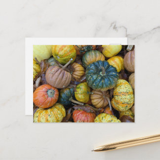 Cartão Postal Colorful Pumpkin Postcard