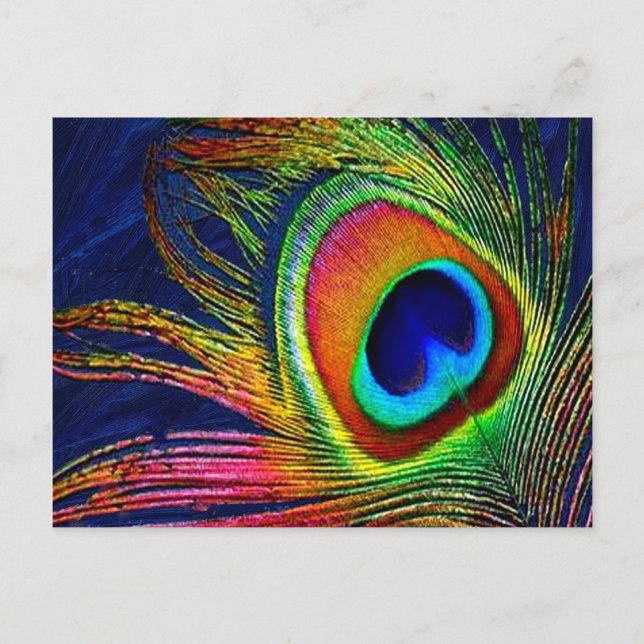 Cartão Postal Colorida Peacock Feather Impressão (Frente)