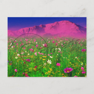 Cartão Postal Colorido Colorado, Pikes Peak Mountain