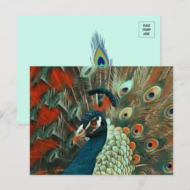 Cartão postal Colorido Peacock (Frente/Verso)