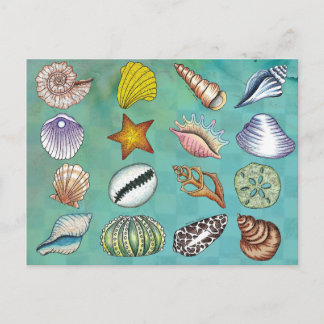 Cartão postal Colorido Seashell
