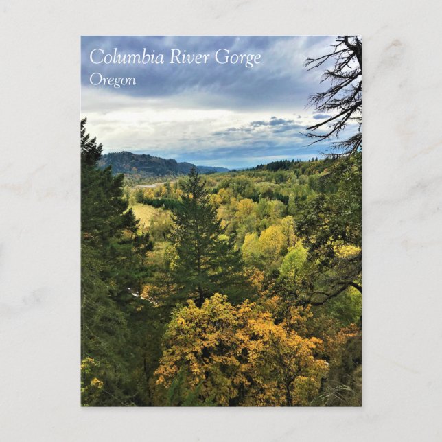 Cartão Postal Columbia River Gorge, Oregon Postcard (Frente)