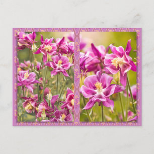 Cartão Postal Columbines Diptych