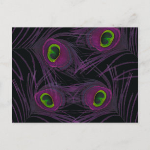 Cartão Postal Coluna de Pavão Roxo e Verde