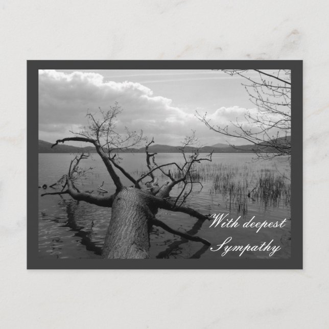 Cartão Postal Com a mais profunda simpatia (Frente)