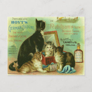 Cartão postal com ilustração vintage de gatinhos