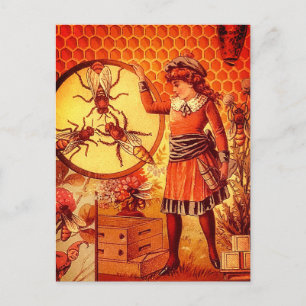 Cartão Postal com Imagem de Menina Apicultora Vint