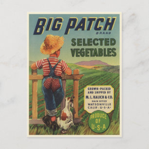 Cartão postal com Impressão de Vintage de Criança 