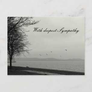 Cartão Postal Com Profunda Simpatia