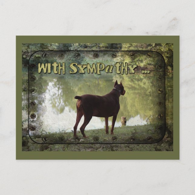 Cartão Postal Com Simpatia - Doberman Observando um Lago (Frente)