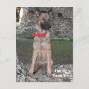 Cartão Postal Com Visita De Ruin Do Castelo De Ger