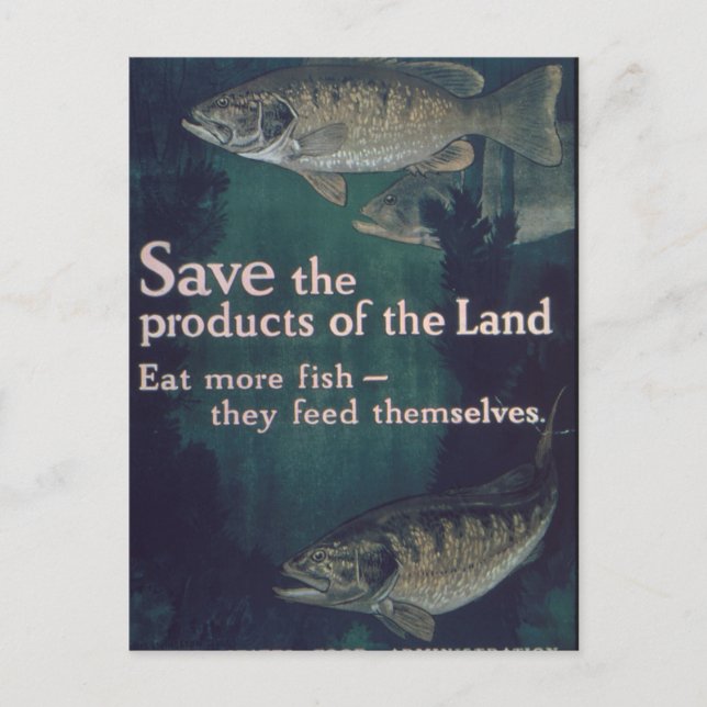 Cartão Postal Coma Mais Peixe - Vintage (Frente)