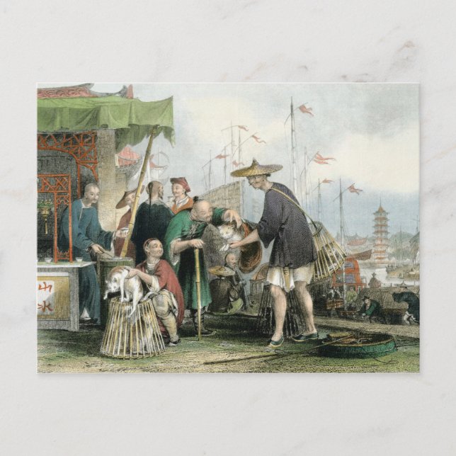 Cartão Postal Comerciantes de Gatos Chineses, da China em uma Sé (Frente)