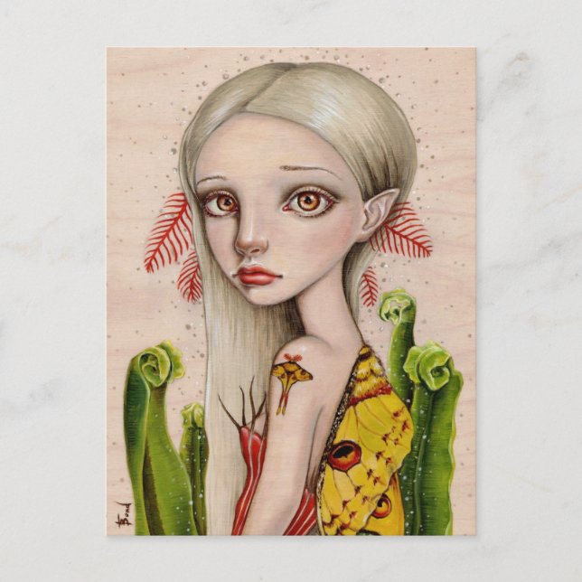 Cartão Postal Comet Moth (Frente)