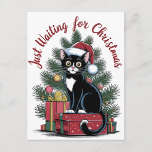 Cartão Postal Comfort Colors® Árvore de Natal e Gato 2025