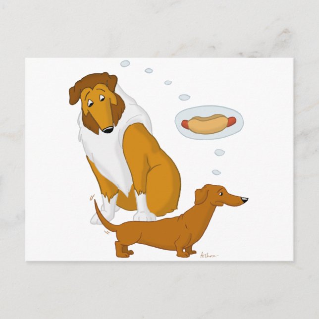 Cartão Postal Comical Collie e Dachshund (Frente)