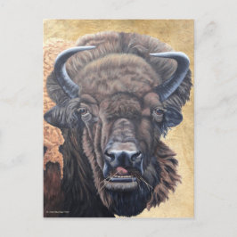 Cartão Postal Comida de Buffalo