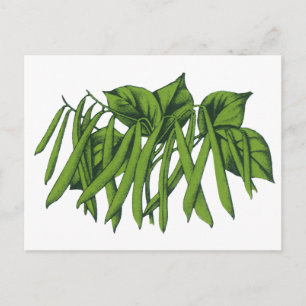 Cartão Postal Comida de vindima, feijões verdes orgânicos