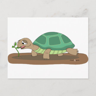 Cartão Postal Comida Tortoise