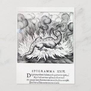 Cartão Postal Como a Salamandra vive no fogo