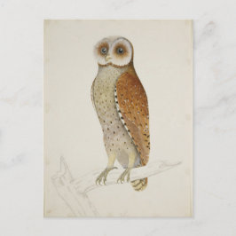 Cartão Postal Como agora Bay Owl?