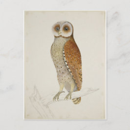 Cartão Postal Como agora Bay Owl?