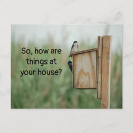 Cartão Postal Como as coisas estão pensando em seus pássaros?