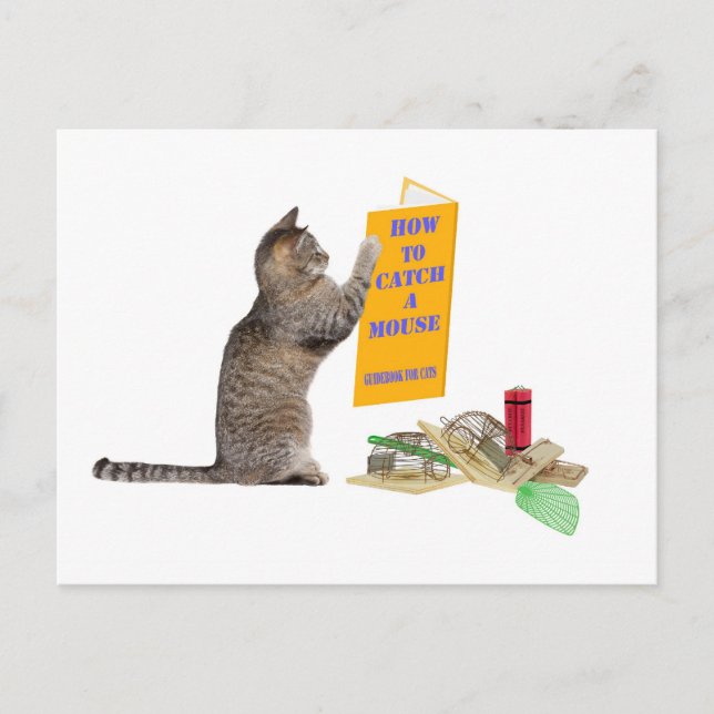 Cartão Postal Como pegar um mouse (Frente)