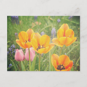 Cartão Postal Como uma bela pintura de vida