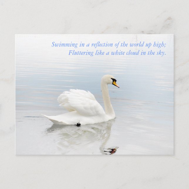 Cartão Postal Como uma Nuvem Branca (Frente)