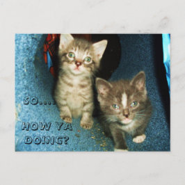Cartão Postal COMO VOCÊ ESTÁ FAZENDO, GATINHO postal