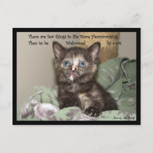 Cartão Postal Comovente