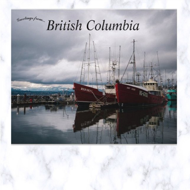 Cartão Postal Comox Municipal Marina British Columbia Canada (Criador carregado)