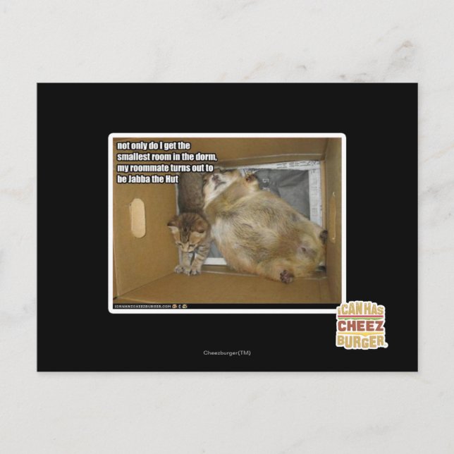 Cartão Postal Companheiro de quarto gordo (Frente)