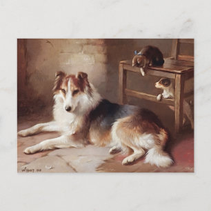 Cartão Postal Companheiros de brincadeiras - Cachorro Gatinho - 